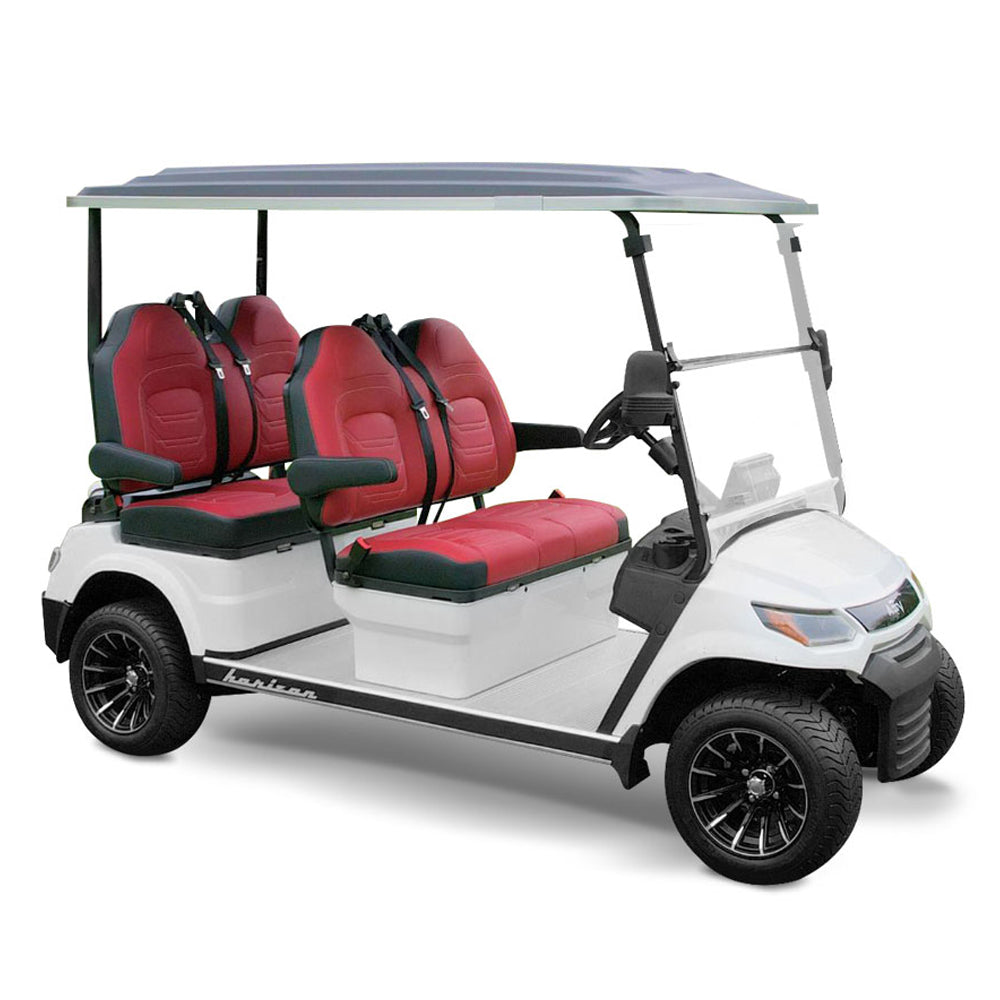 2025_Advanced_EV_Horizon_4_Seater_AC_1
