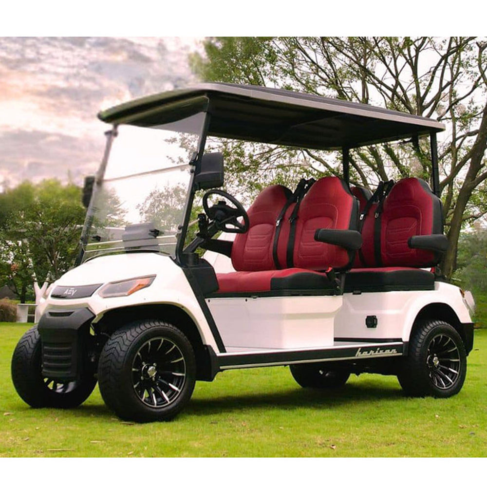 2025_Advanced_EV_Horizon_4_Seater_AC_2